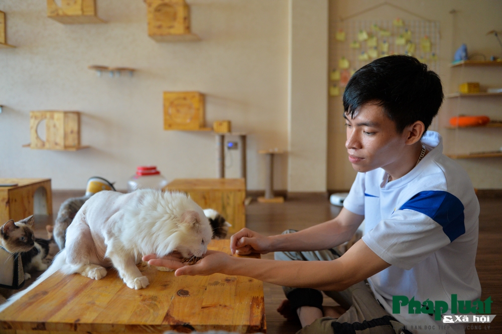 chang trai bo viec de mo quan cafe kiem trung tam cuu tro meo