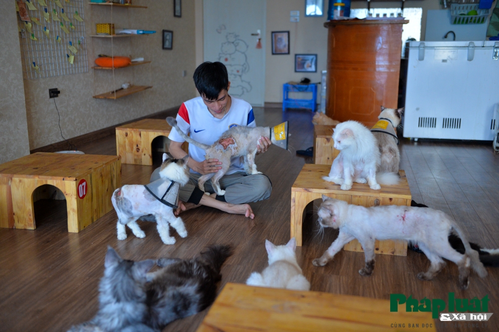 chang trai bo viec de mo quan cafe kiem trung tam cuu tro meo