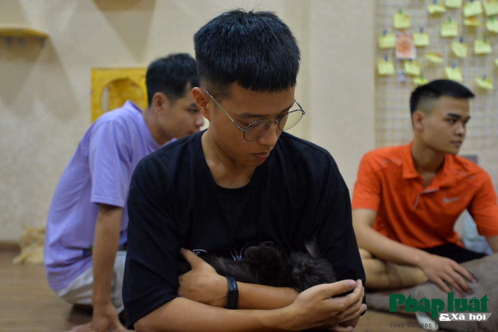 chang trai bo viec de mo quan cafe kiem trung tam cuu tro meo