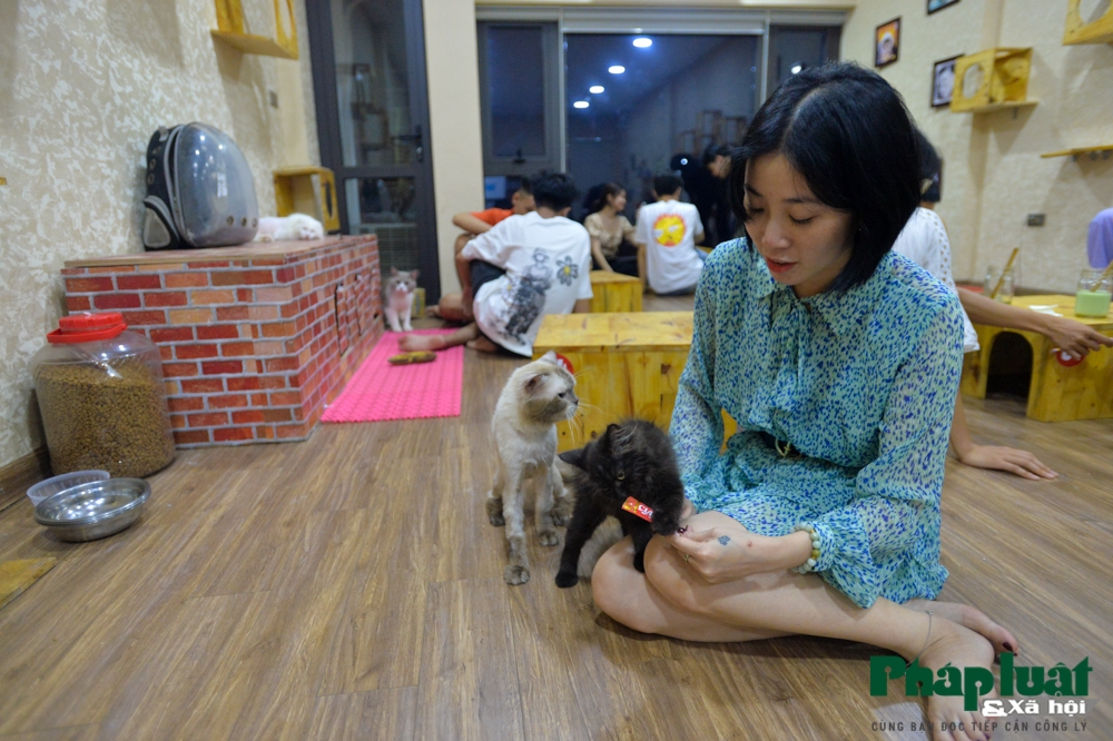 chang trai bo viec de mo quan cafe kiem trung tam cuu tro meo