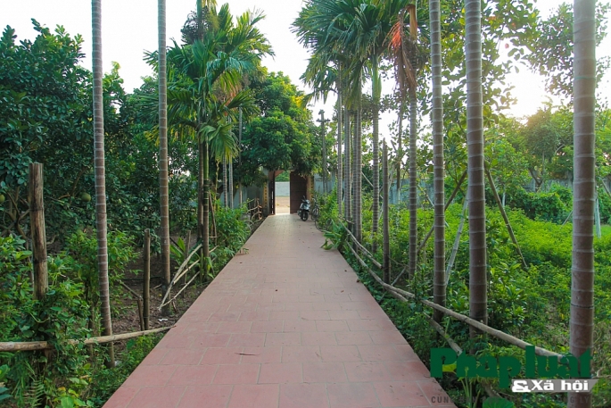 Ghé thăm Viên Minh Tự - ngôi chùa không vàng mã tại Hà Nội ghe tham vien minh tu ngoi chua khong vang ma tai ha noi