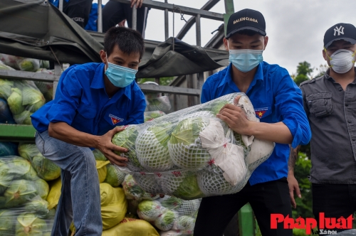 15 tấn rau củ Lào Cai dành tặng Nhân dân Thủ đô chống dịch