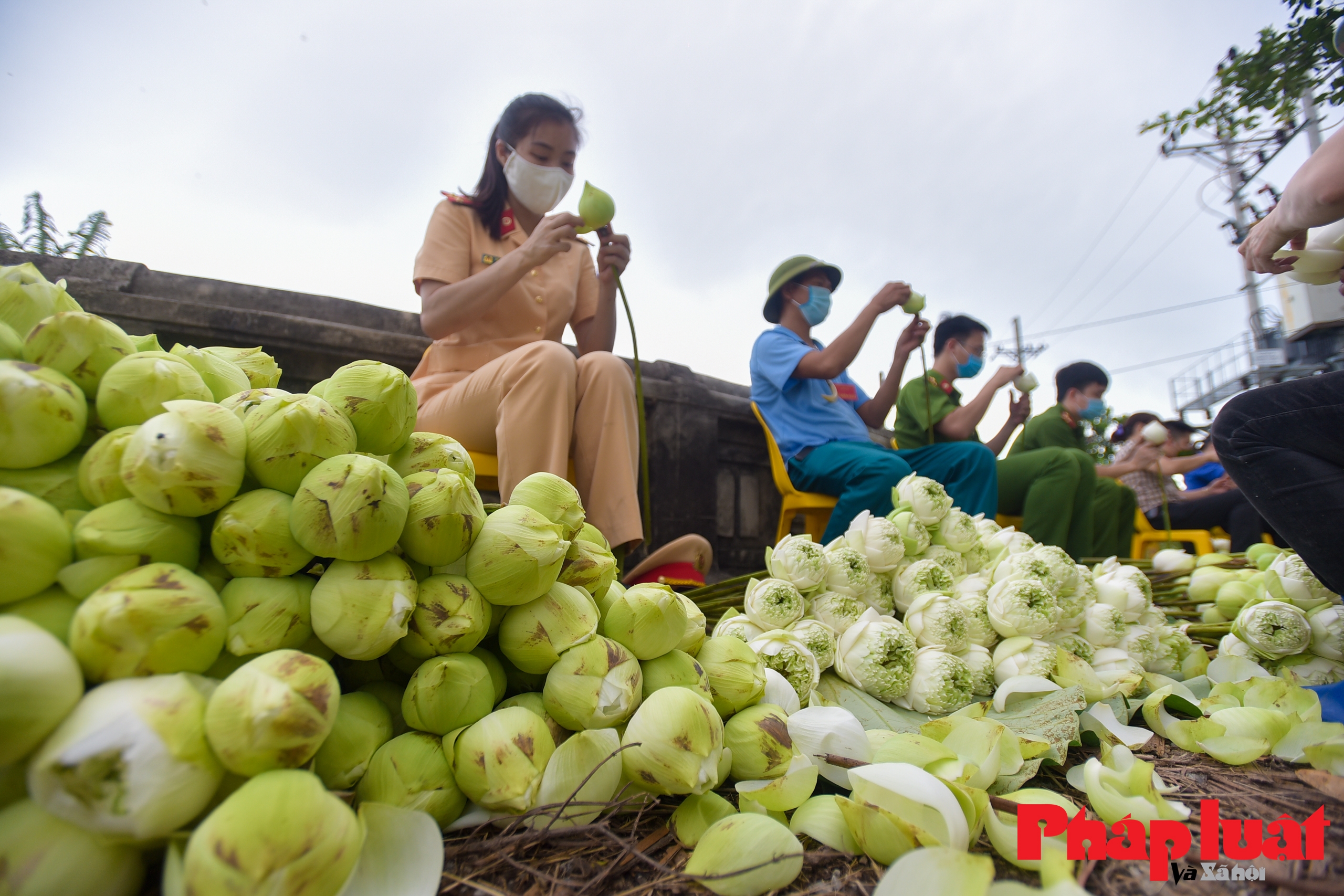 Công an huyện Ứng Hoà hỗ trợ người dân tiêu thụ nông sản