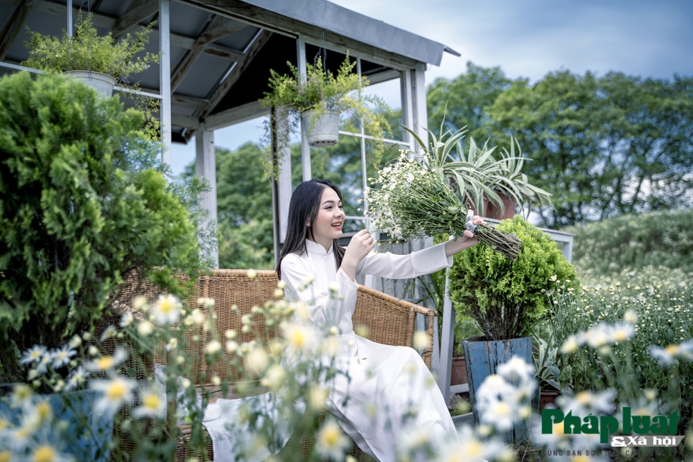 cuc hoa mi no som hut hon gioi tre ha noi