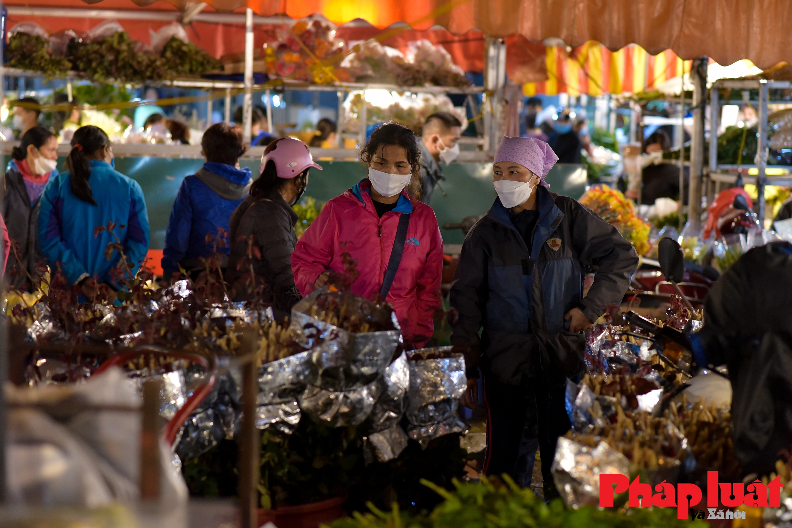 Chợ hoa Quảng An rộn ràng chuẩn bị cho ngày Phụ nữ Việt Nam