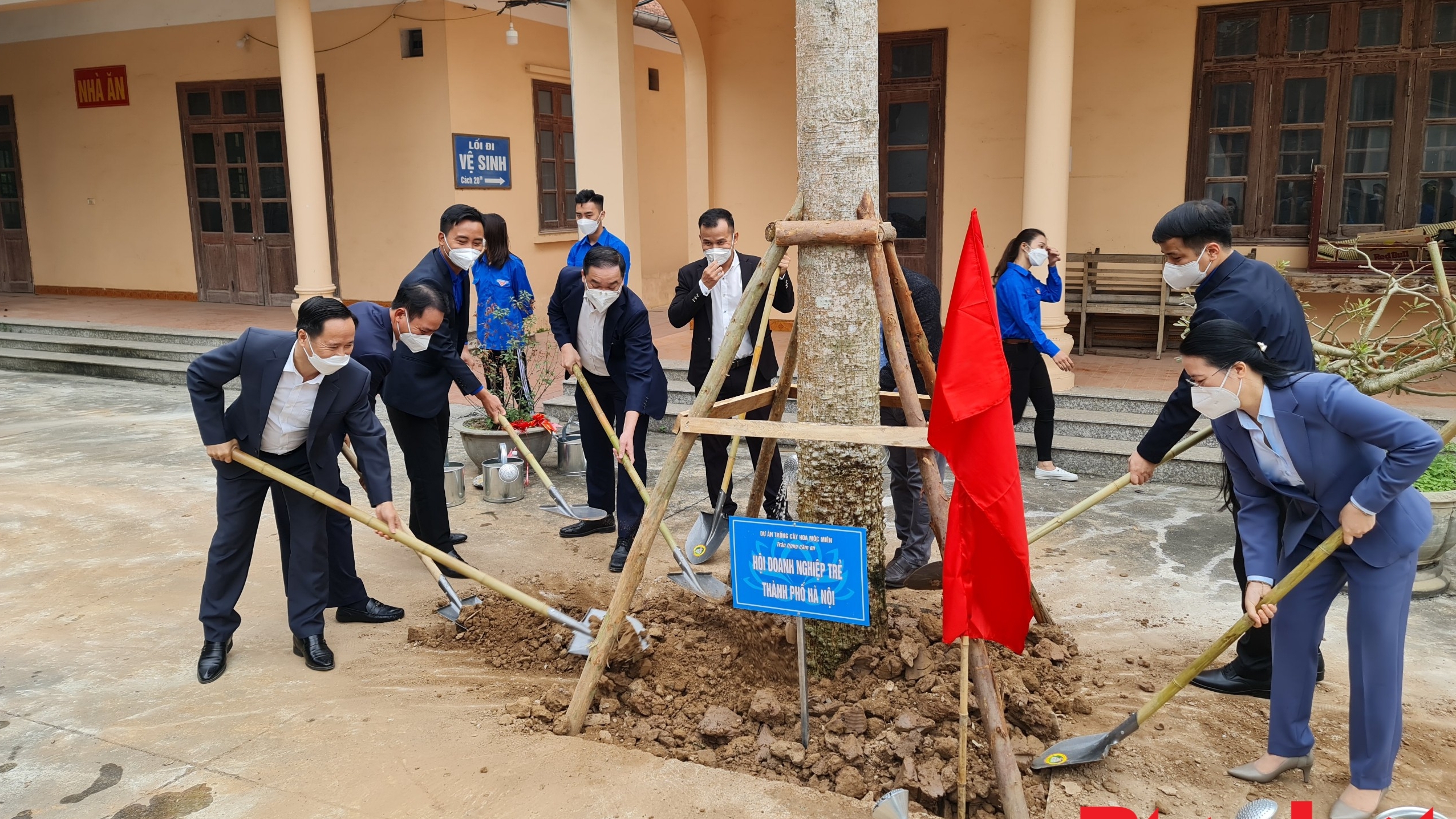 Sắp có đường cây hàng nghìn gốc Mộc Miên tại Suối Yến, chùa Hương