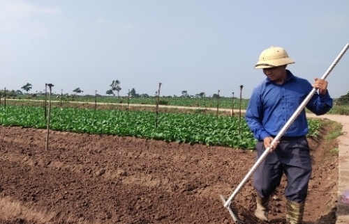 Hà Nội: Đẩy mạnh phát triển thương mại điện tử và sản xuất nông nghiệp công nghệ cao
