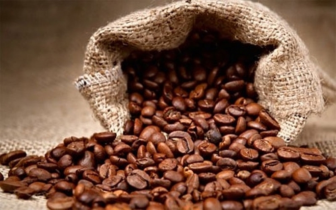 Xuất khẩu cà phê của Việt Nam trong tháng 7-2021 đạt 122,3 nghìn tấn