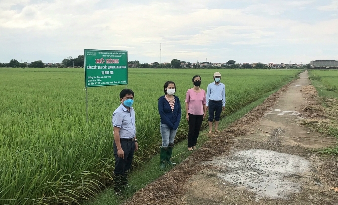 UBND huyện Thanh Oai đã xây dựng phương án hỗ trợ nhân dân đảm bảo sản xuất vụ đông năm 2021 – 2022.