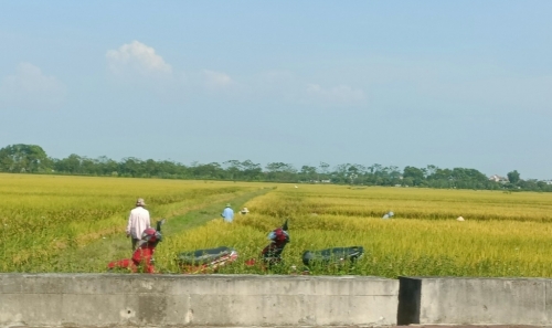 Kỳ 2: Đẩy mạnh giới thiệu các sản phẩm nông sản trên các ứng dụng thương mại điện tử