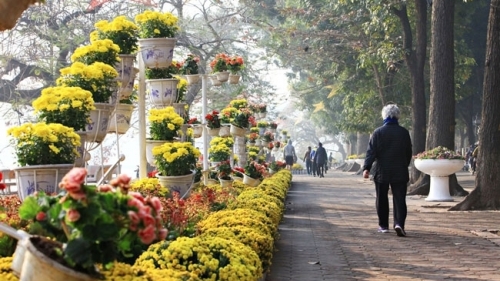 Đến năm 2025, Hà Nội sẽ nâng cấp, cải tạo 45 công viên, vườn hoa