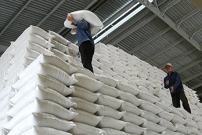 Đề nghị hỗ trợ 9.877 tấn gạo cứu đói cho 7 tỉnh dịp Tết và giáp hạt