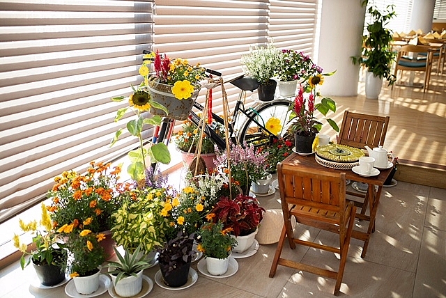 Ấm cúng không khí Tết Nguyên đán tại chuỗi quần thể nghỉ dưỡng FLC am cung khong khi tet nguyen dan tai chuoi quan the nghi duong flc