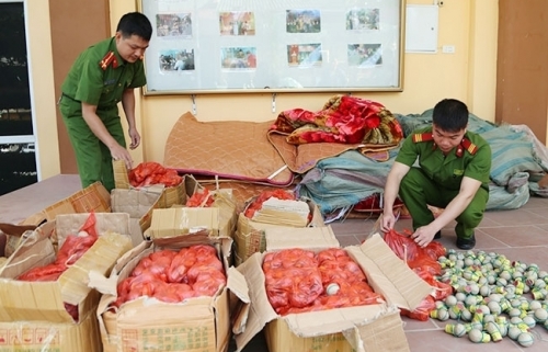 Tăng cường phòng, chống buôn lậu, vận chuyển pháo nổ dịp Tết