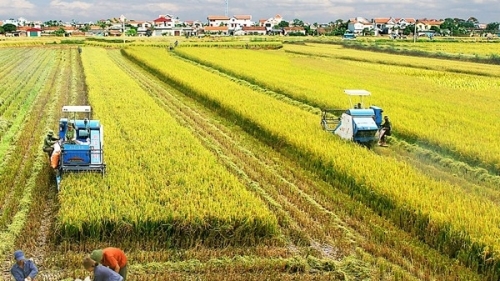 Hà Nội phát triển cơ giới hóa trong sản xuất nông nghiệp