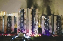 vu chay chung cu carina de nghi truy to nguyen giam doc cong ty hung thanh