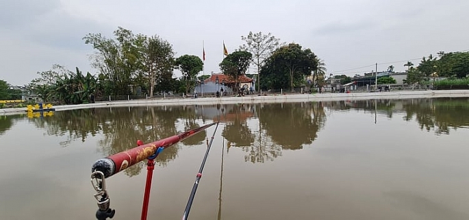 Bài Mồi Lão Quỷ Câu Cá Chép Cũ Hồ Dịch Vụ  Tự Nhiên Đồ Câu Khánh Râu  Cần  Câu Máy Câu Phụ Kiện Câu Cá Chính Hãng