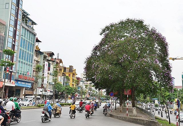 ha noi ban hanh quy dinh ve quan ly khai thac va bao tri he thong duong do thi