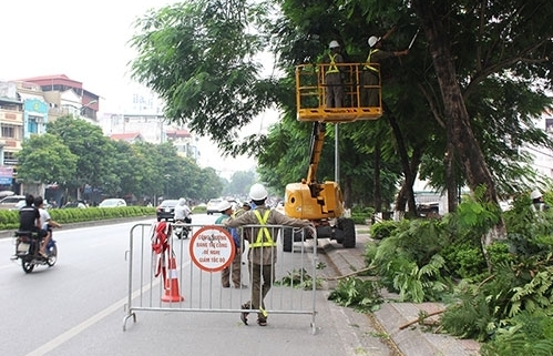 Hà Nội cắt tỉa cây xanh bảo đảm an toàn mùa mưa bão