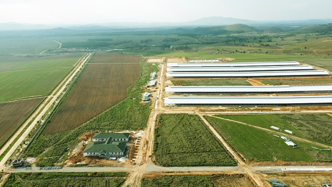 Trang trại đầu tiên trong Tổ hợp bò sữa Lao-Jagro tại Xiêng Khoảng của Vinamilk đã hoàn thành các hạng mục xây dựng cơ bản (ảnh chụp tháng 5-2021)