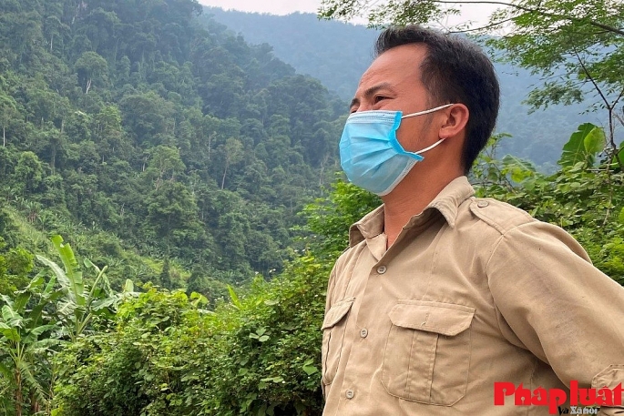“Tiếng kêu cứu” của rừng nghiến cổ thụ giữa đại ngàn Hà Giang