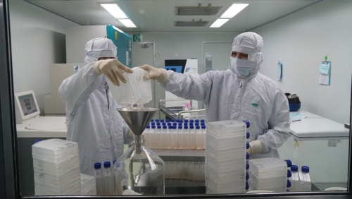 Xây dựng Đề án thành lập Viện Vaccine quốc gia