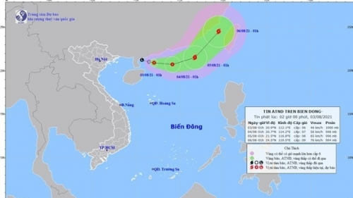 Chủ động ứng phó với áp thấp nhiệt đới trên Biển Đông