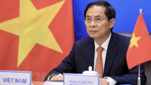 Thành lập Tổ công tác của Chính phủ về ngoại giao vaccine