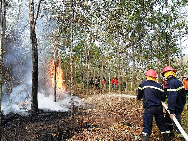 Hà Nội tăng cường công tác phòng, chống cháy nổ, cháy rừng