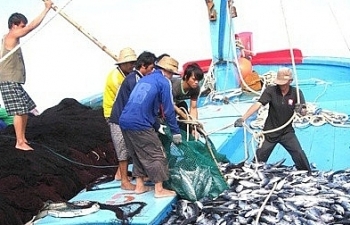 Quy chế hoạt động của Ban Chỉ đạo quốc gia về chống khai thác hải sản bất hợp pháp