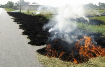 Hà Nội: Kiểm soát chặt việc đốt rơm rạ, chất thải không đúng quy định