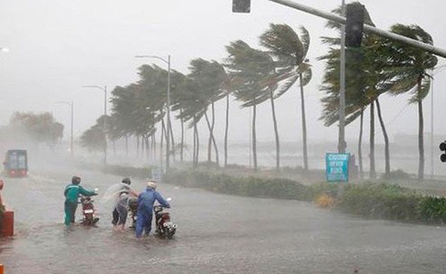 Chủ động triển khai ứng phó với bão, mưa lũ