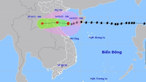 Bão số 8 đi vào vùng biển ven bờ từ Nam Định-Hà Tĩnh và suy yếu