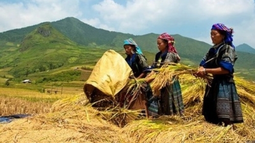 Hỗ trợ phát triển kinh tế - xã hội vùng đồng bào dân tộc thiểu số và miền núi