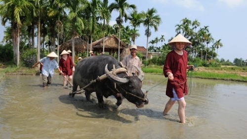 Đưa du lịch nông thôn vào Chương trình xây dựng nông thôn mới