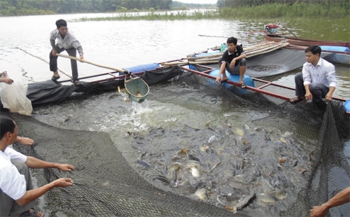 Hà Nội xây dựng lộ trình ứng dụng, chuyển giao khoa học công nghệ để tái cơ cấu ngành thủy sản