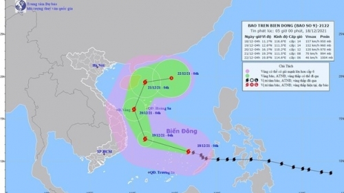 Bão số 9 giật cấp 17 trên Biển Đông, Hà Nội có mưa nhỏ vài nơi