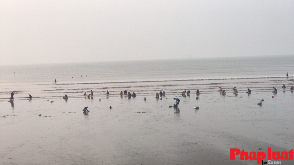 Hải Phòng: Bất chấp lệnh cấm, người dân vẫn tập trung đông ở bãi biển Đồ Sơn