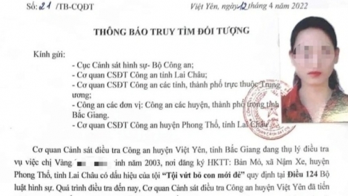 Vứt con mới đẻ là hành vi vi phạm pháp luật nghiêm trọng