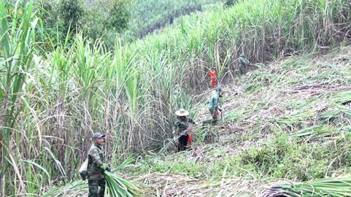 Sơn La: Phát hiện thi thể học sinh lớp 8 mất tích nhiều ngày