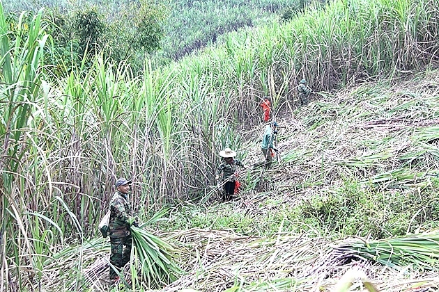 Sơn La: Phát hiện thi thể học sinh lớp 8 mất tích nhiều ngày