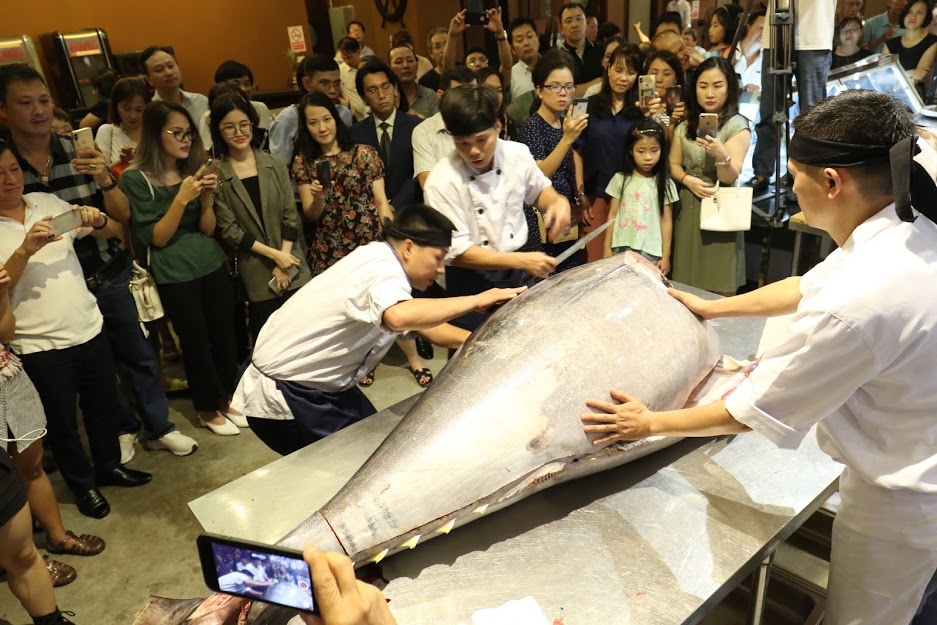 mo ca ngu dai duong vay xanh quy hiem nang 200kg tai ha noi