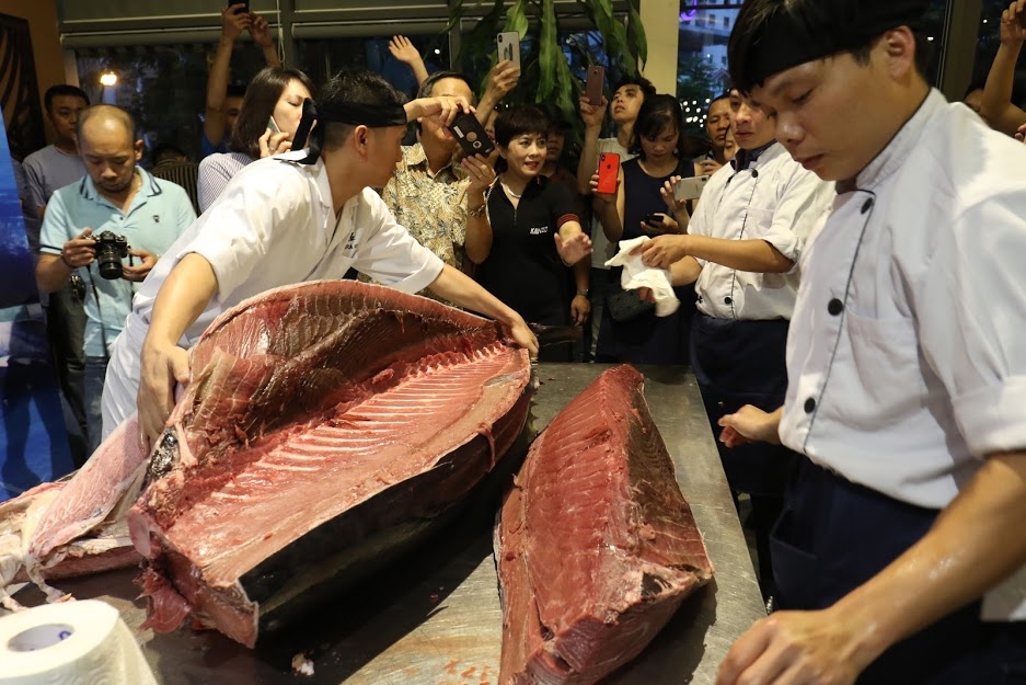 mo ca ngu dai duong vay xanh quy hiem nang 200kg tai ha noi