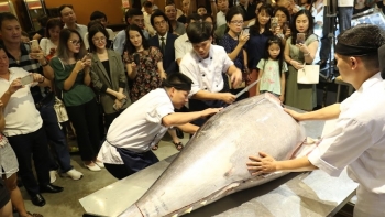 Mổ cá ngừ đại dương vây xanh nặng 200kg tại Hà Nội