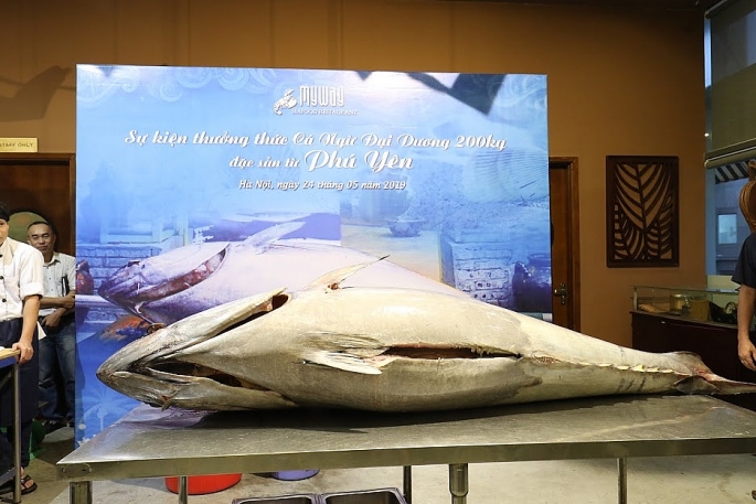 mo ca ngu dai duong vay xanh quy hiem nang 200kg tai ha noi