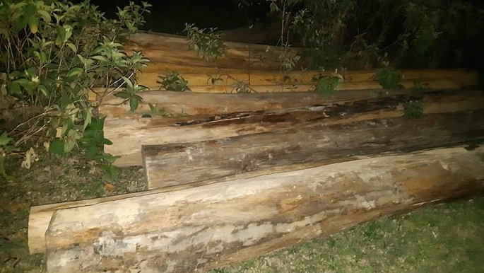 Kiểm lâm Hà Tĩnh “rốt ráo” vào cuộc vụ gỗ lậu tập kết tại nghĩa trang Đồng Quan kiem lam ha tinh rot rao vao cuoc vu go lau tap ket tai nghia trang dong quan