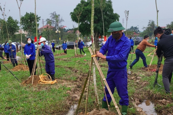 Trồng 100.000 cây phủ xanh TP Hà Tĩnh