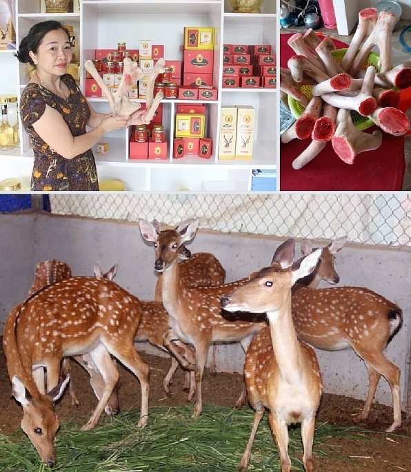 Nhiều sản phẩm chủ lực tham gia OCOP