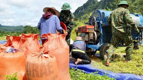 Bộ đội Biên phòng Quảng Bình giúp đồng bào Rục thu hoạch lúa