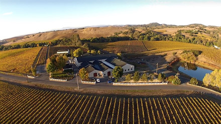 Ngắm vườn nho triệu USD của tỷ phú Hoàng Kiều ở Mỹ